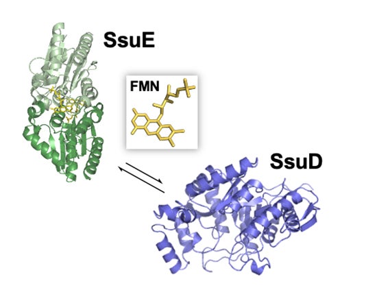 Ssue-diagram