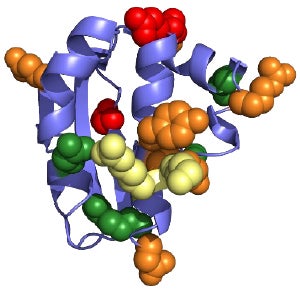 How bacteria regulate biofilm formation