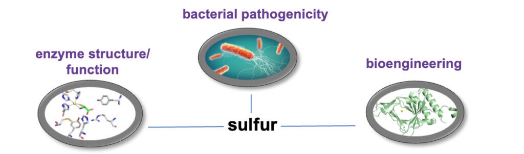 sulphur diagram